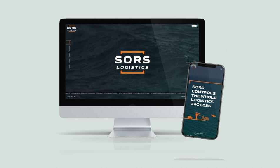 DM- SORS website